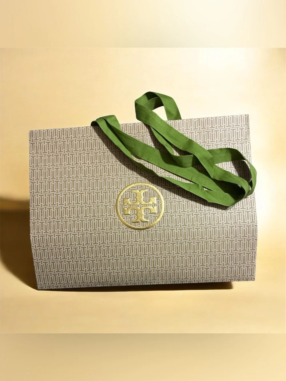 Tory Burch Beige Patterned Gift Bag with Green Ribbon Handles